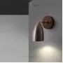 rense-2-brass-tricolor-light