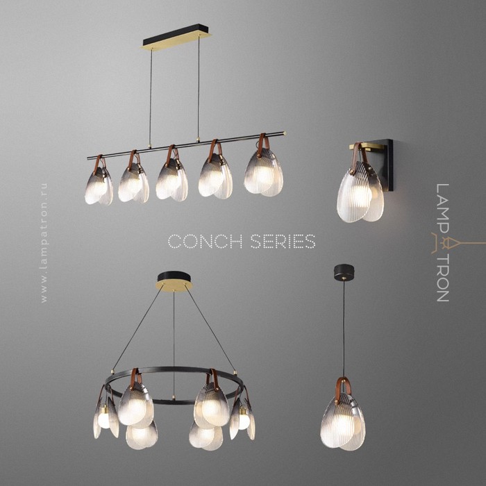 CONCH_WALL_01