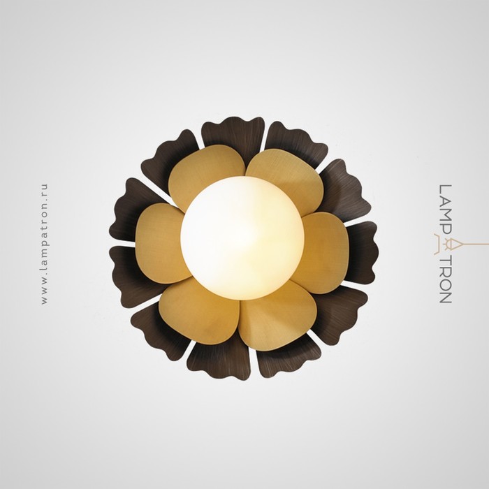 camellia-c