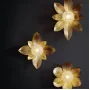 lotus-a