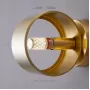 hind-brass