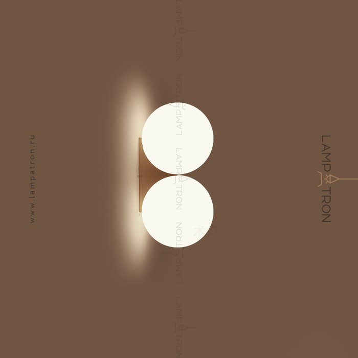 polly-2