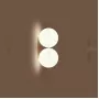 polly-2