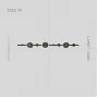 lidda-m-brass