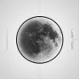 cosmos-moonlight-l-cold