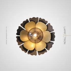 camellia-c