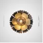 camellia-c