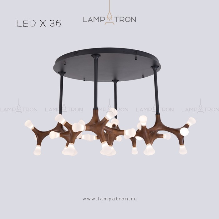 santana-ch-27-light-wood
