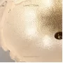 rubert-5