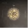 rosalia-8-chrome