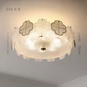 rubert-8