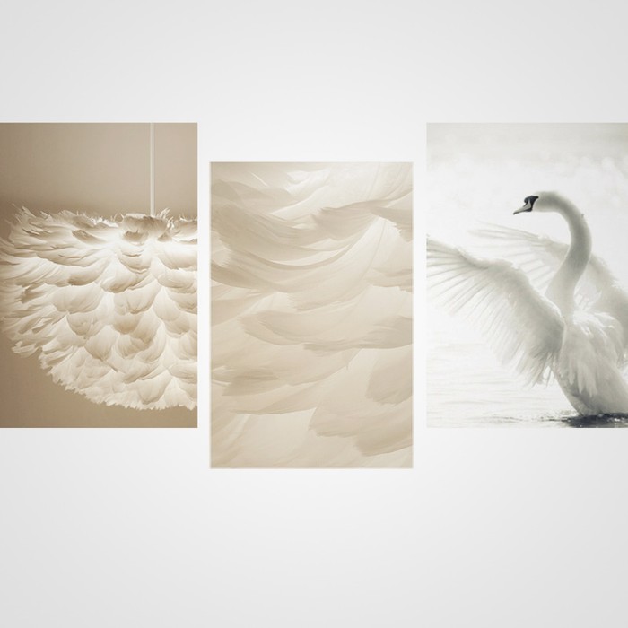 feathers-white-xl