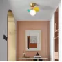 matisse-c-4