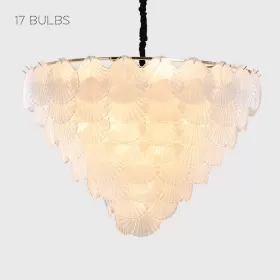 shells-17