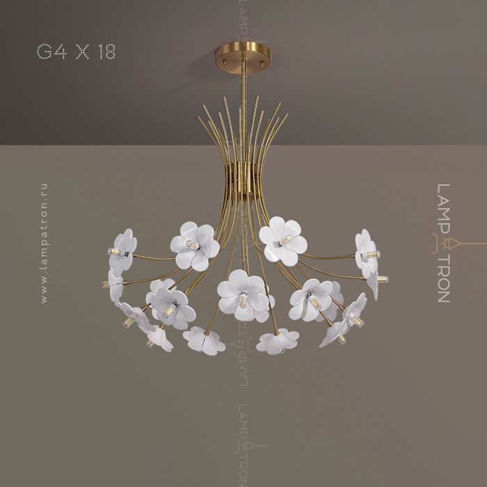 molly-12