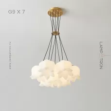 lillis-7