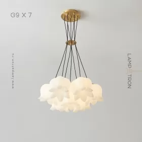 lillis-7