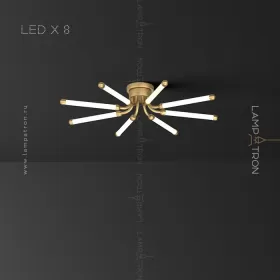 lola-8