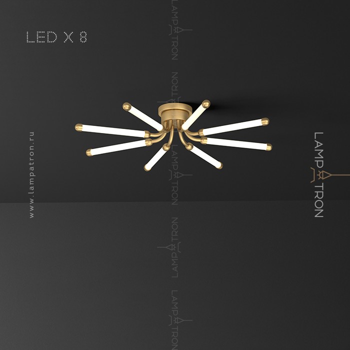 lola-12