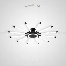 dunkel-tricolor-light