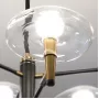 meduza-8