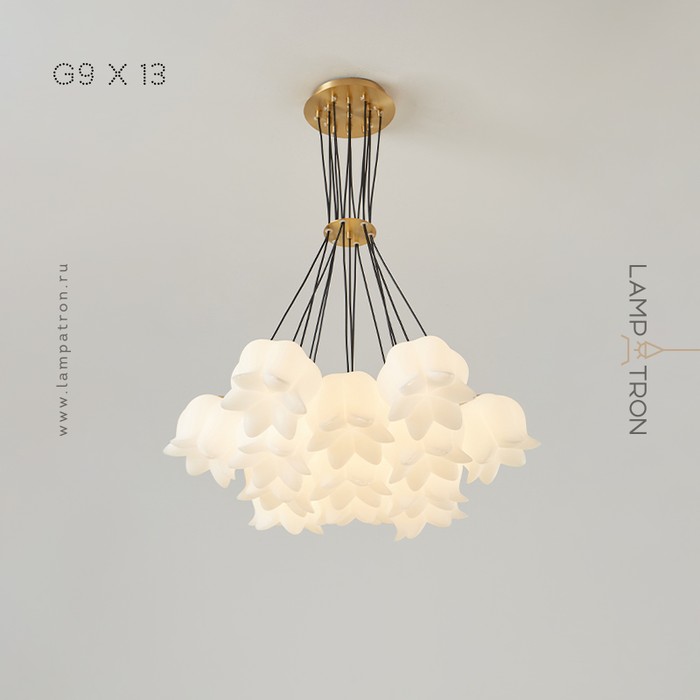 lillis-7
