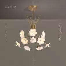 molly-12