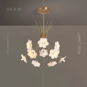 molly-12