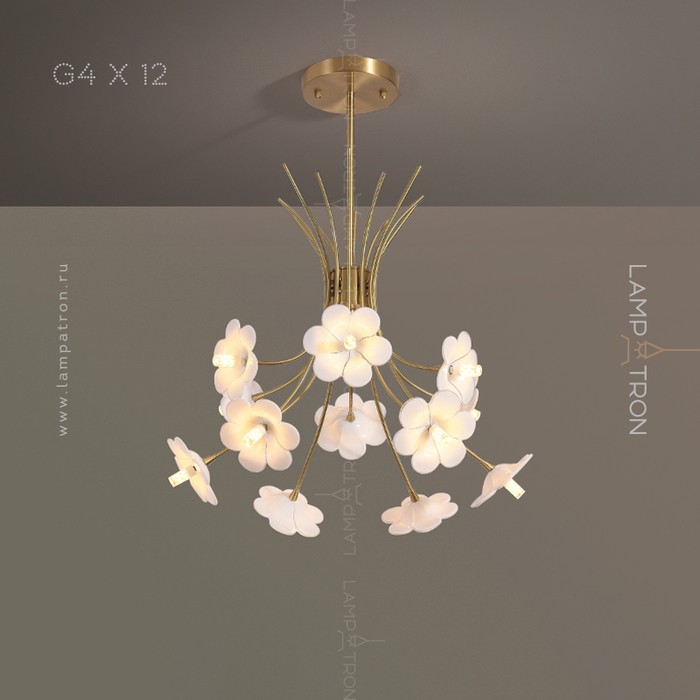 molly-12
