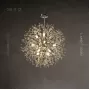 rosalia-8-chrome
