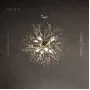 rosalia-8-chrome