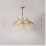 isabel-4