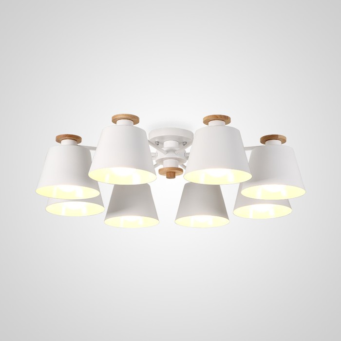 scad-6-green