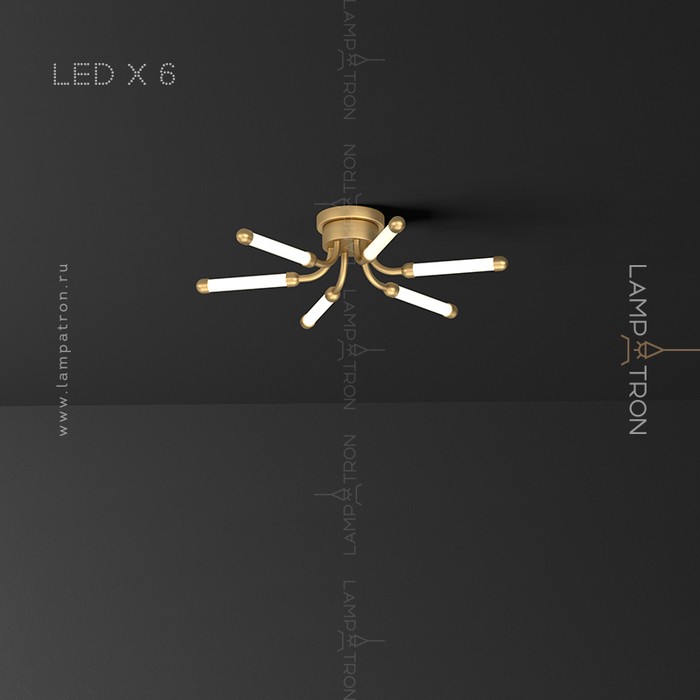 lola-12