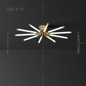 lola-10