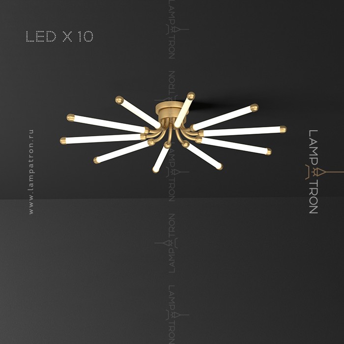lola-12
