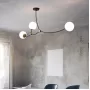 vine-4-transparent