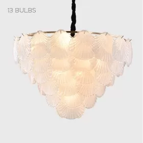 shells-13