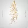 JULIETTA-C-LUX01