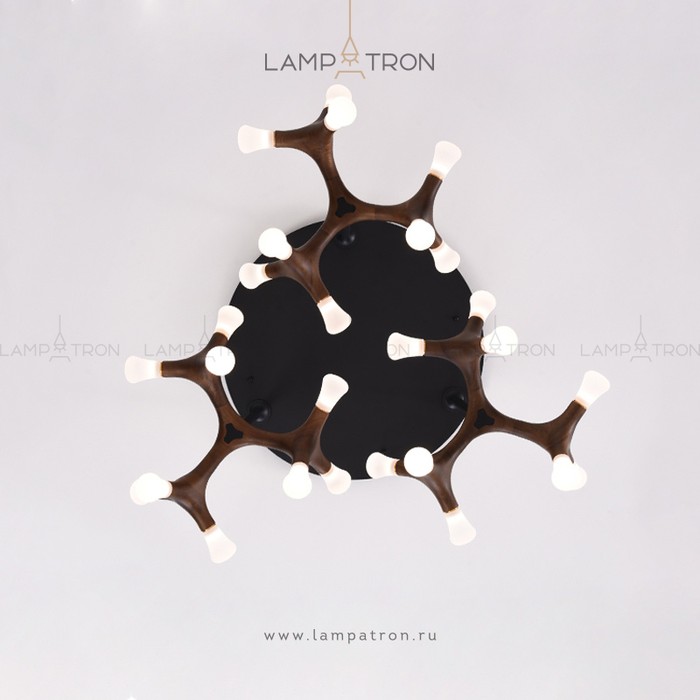 santana-ch-27-light-wood
