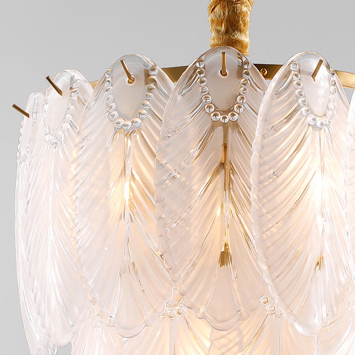plumage-5