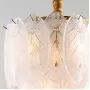 plumage-5