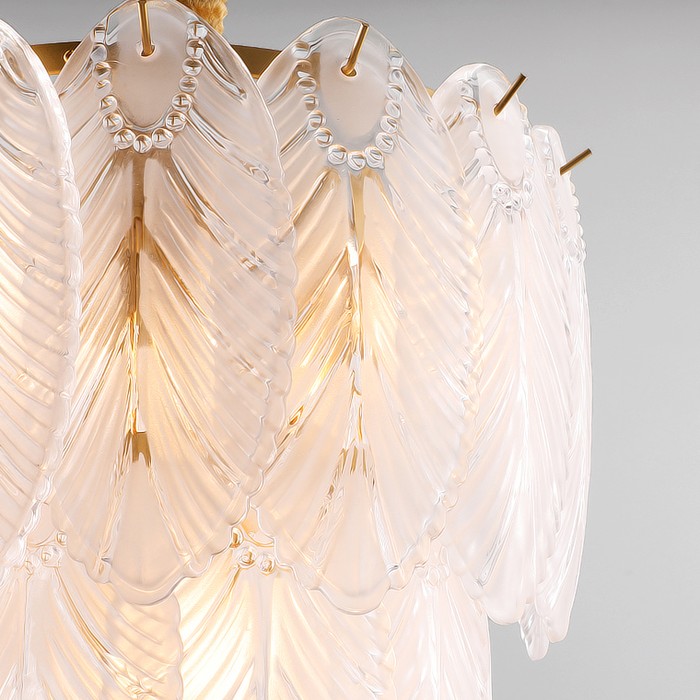 plumage-5