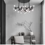 santana-ch-27-light-wood