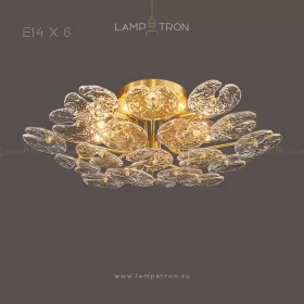 gardia-6
