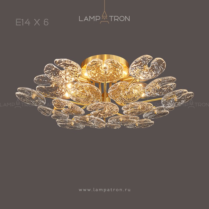 gardia-6
