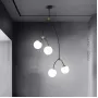 vine-4-transparent