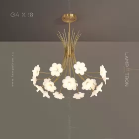 molly-18