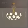 molly-12