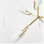 clement-brass